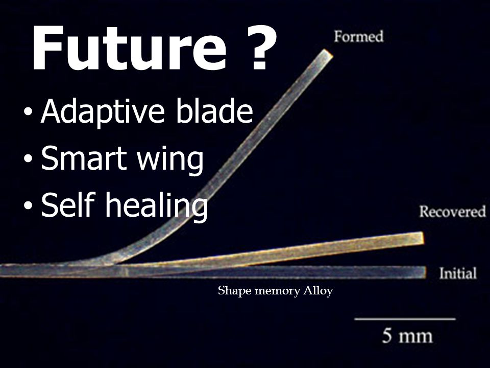 Future Adaptive blade Smart wing Self healing Shape memory Alloy