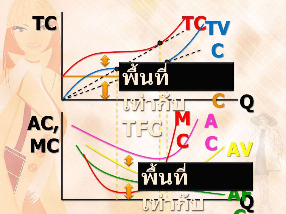 พื้นที่เท่ากับ TFC พื้นที่เท่ากับ AFC TC AC, MC Q TC TVC TFC MC AC AVC