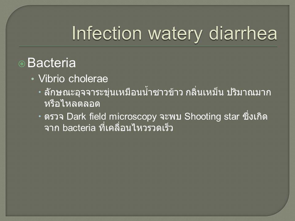 Infection watery diarrhea