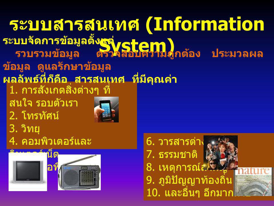 ระบบสารสนเทศ (Information System)