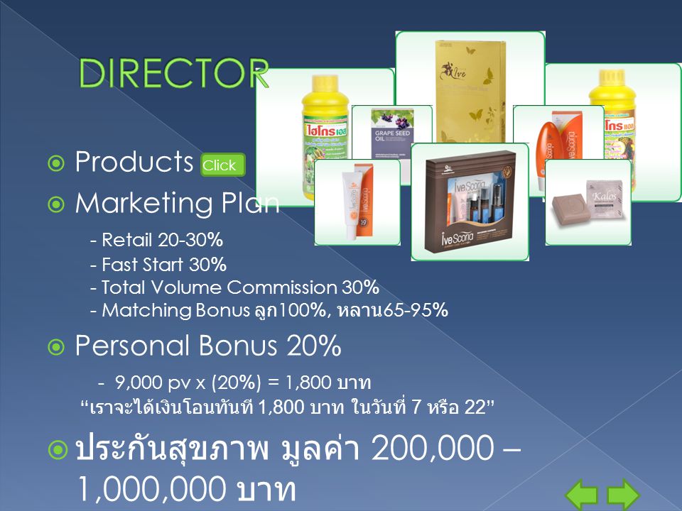 DIRECTOR ประกันสุขภาพ มูลค่า 200,000 – 1,000,000 บาท Products