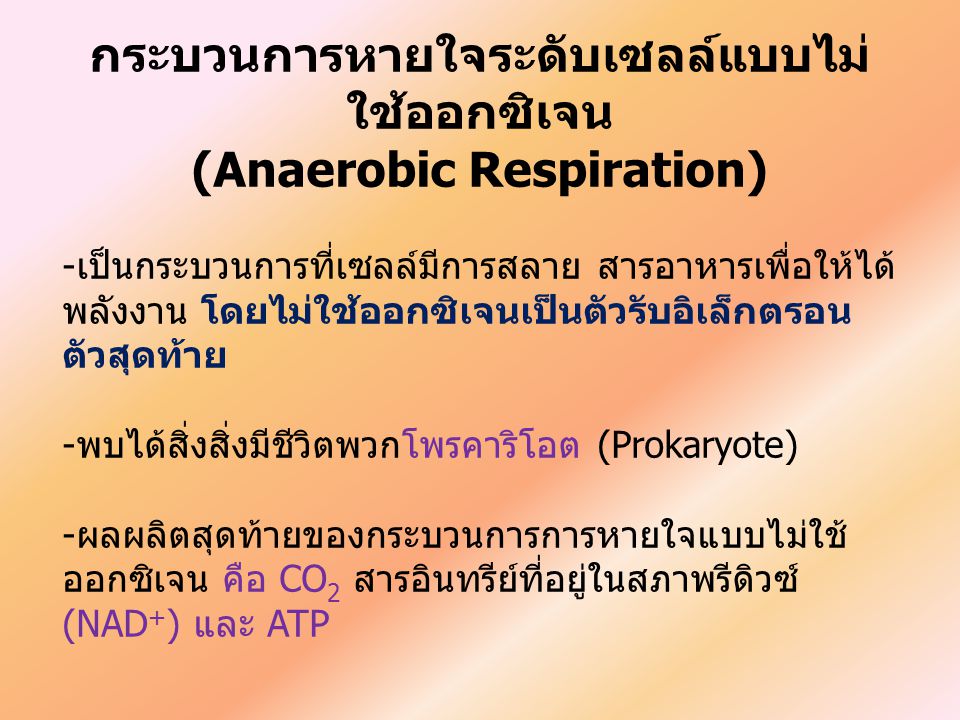 กระบวนการหายใจระดับเซลล์แบบไม่ใช้ออกซิเจน (Anaerobic Respiration)