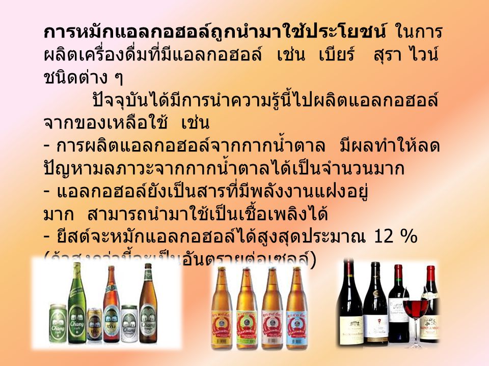 การหมักแอลกอฮอล์ถูกนำมาใช้ประโยชน์ ในการผลิตเครื่องดื่มที่มีแอลกอฮอล์ เช่น เบียร์ สุรา ไวน์ชนิดต่าง ๆ
