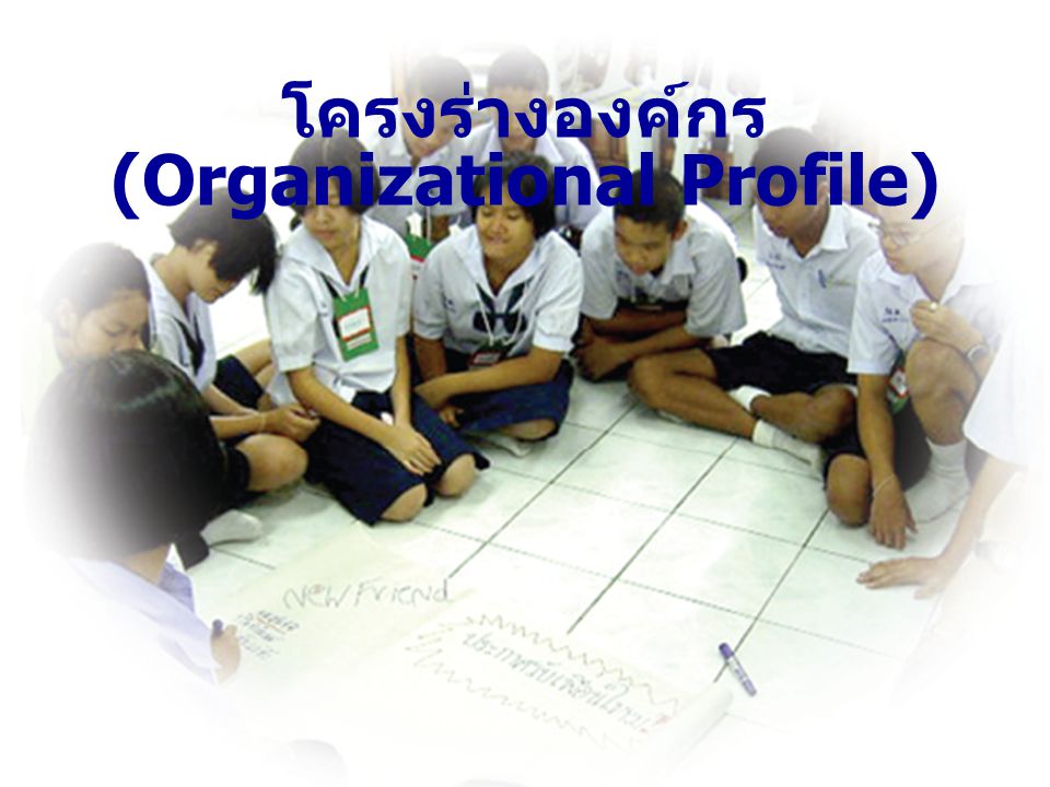 โครงร่างองค์กร (Organizational Profile)