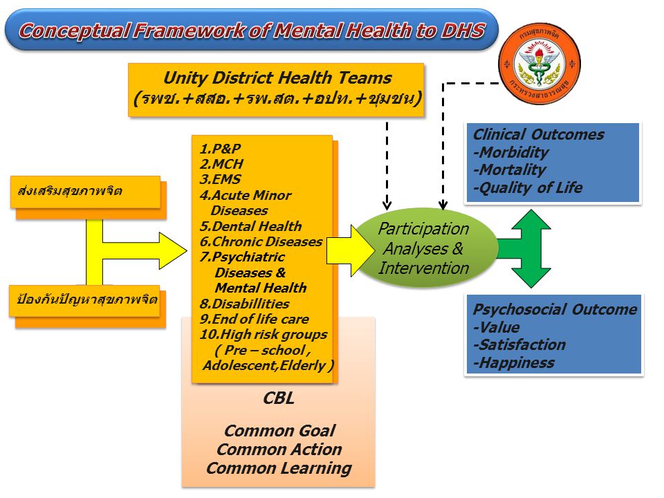 Conceptual Framework of Mental Health to DHS
