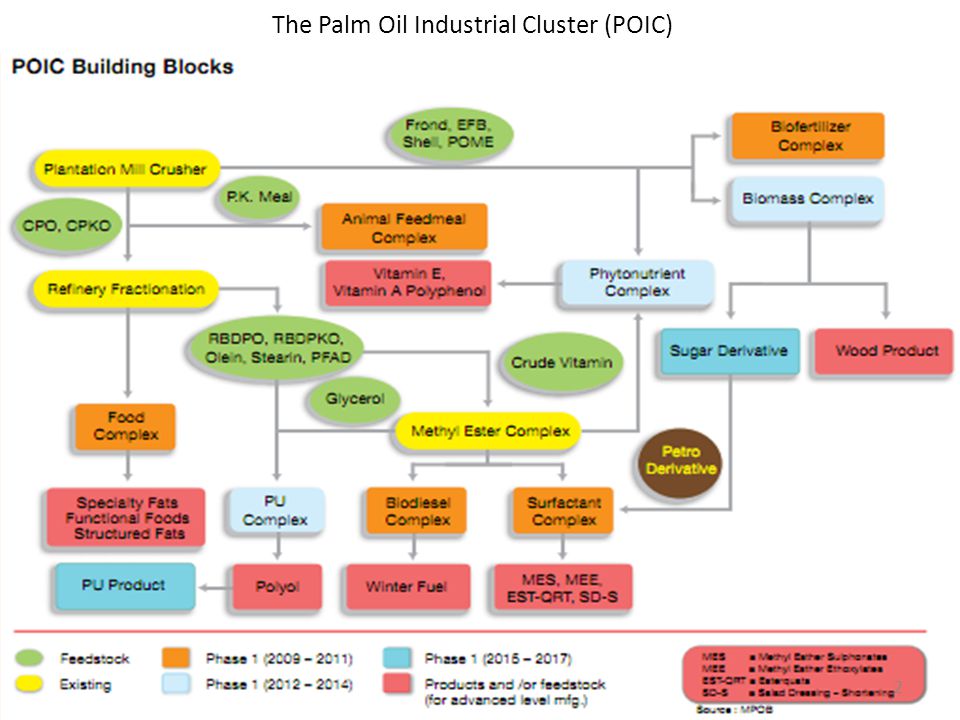 The Palm Oil Industrial Cluster (POIC)