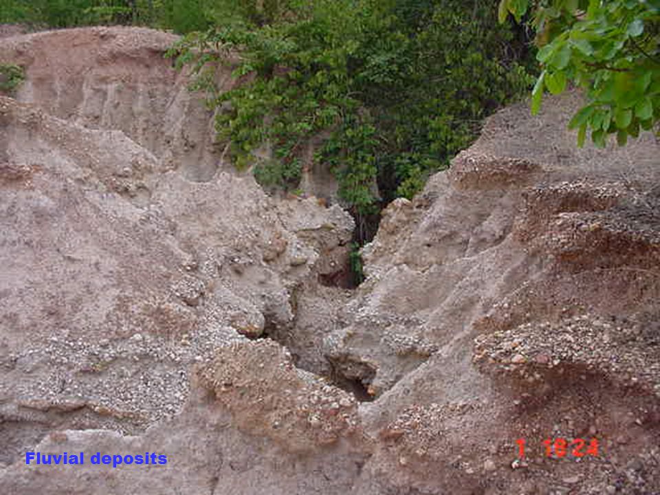 Fluvial deposits