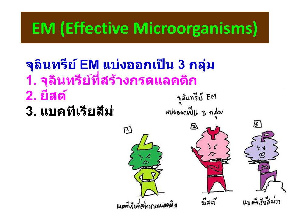 EM (Effective Microorganisms)