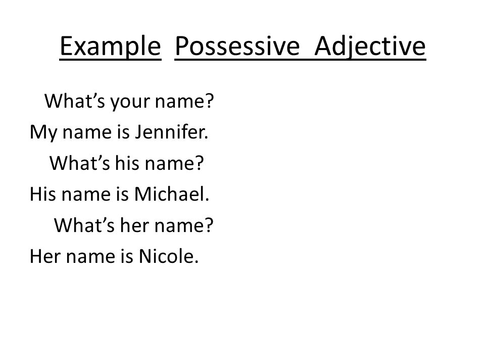 Example Possessive Adjective