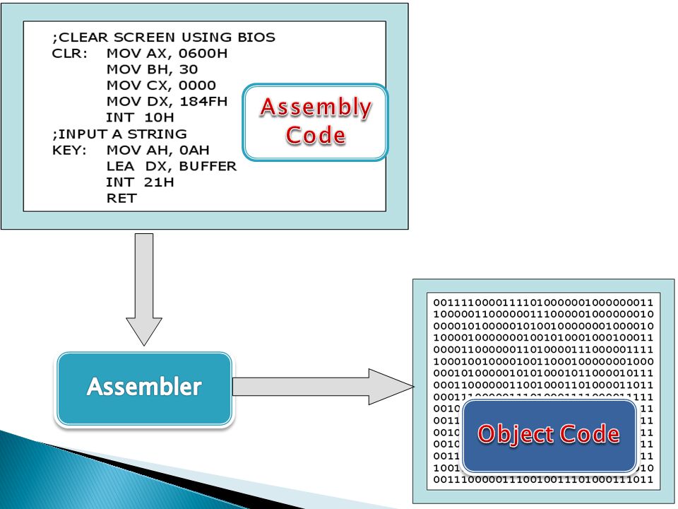 Assembly Code Object Code