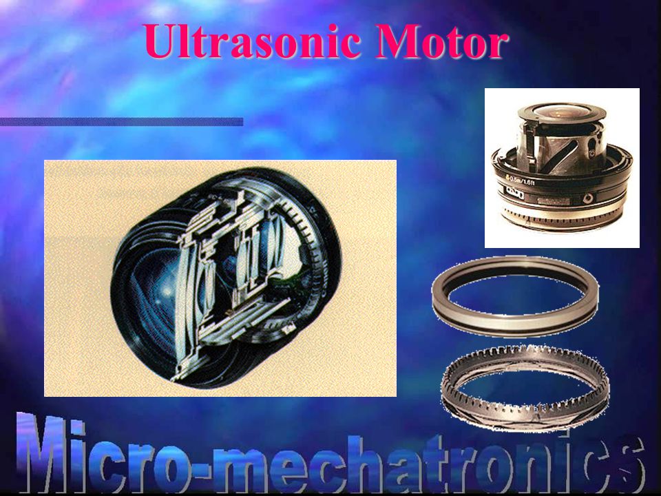 Ultrasonic Motor