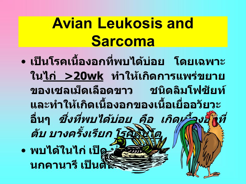 Avian Leukosis and Sarcoma