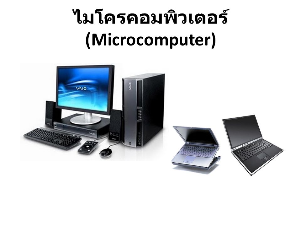 ไมโครคอมพิวเตอร์ (Microcomputer)