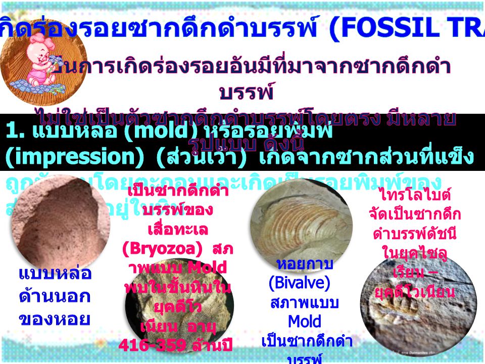 การเกิดร่องรอยซากดึกดำบรรพ์ (fossil traces)