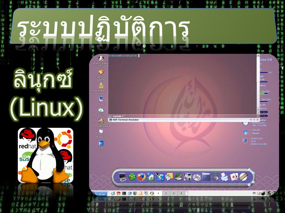 ระบบปฏิบัติการ ลินุกซ์ (Linux)