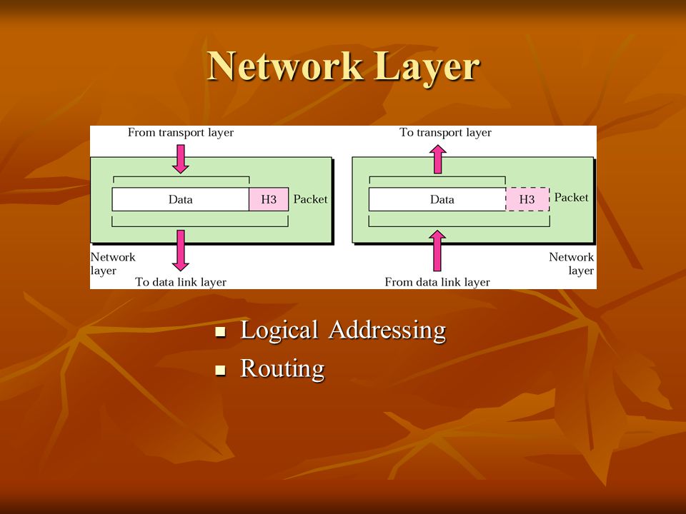 Network Layer Logical Addressing Routing