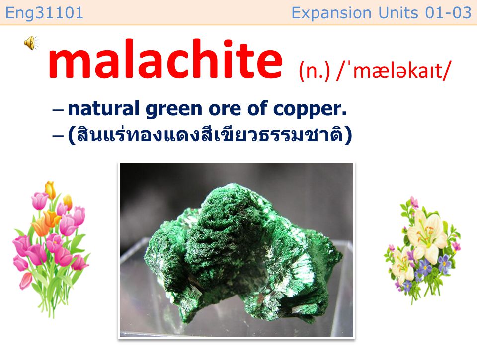 malachite (n.) /ˈmæləkaɪt/
