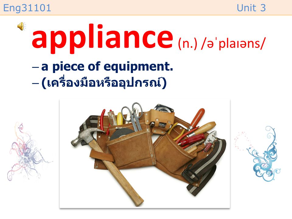 appliance (n.) /əˈplaɪəns/