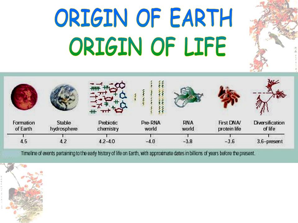 ORIGIN OF EARTH ORIGIN OF LIFE