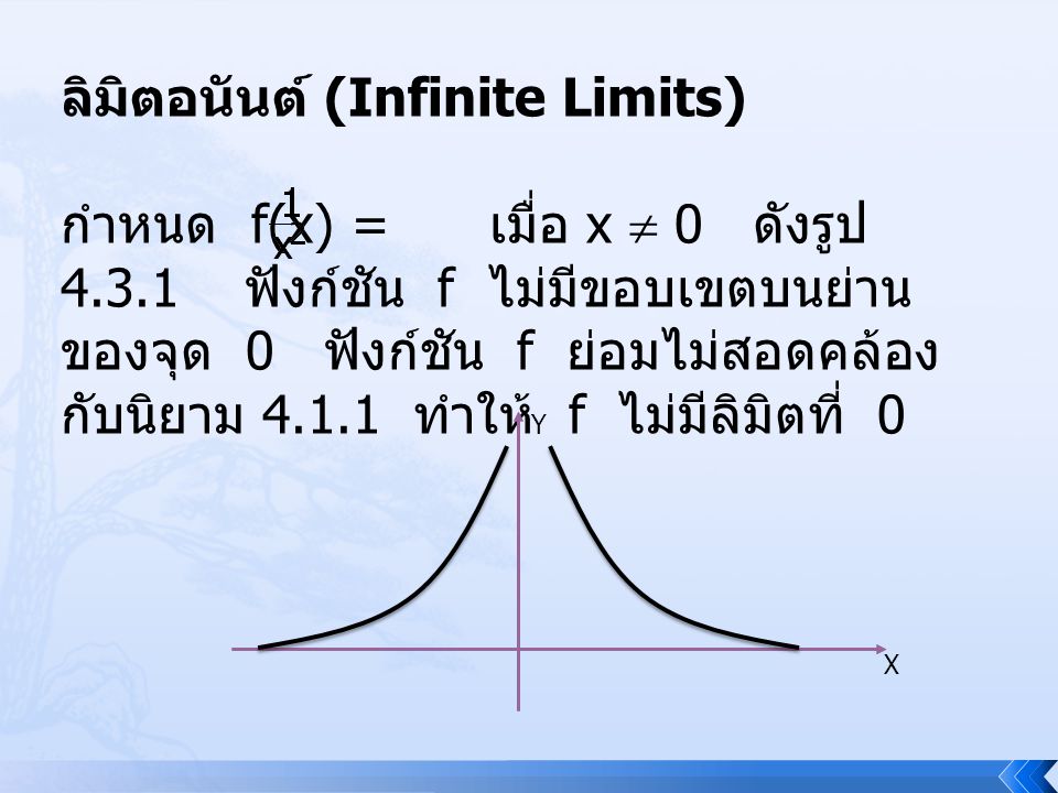 ลิมิตอนันต์ (Infinite Limits)