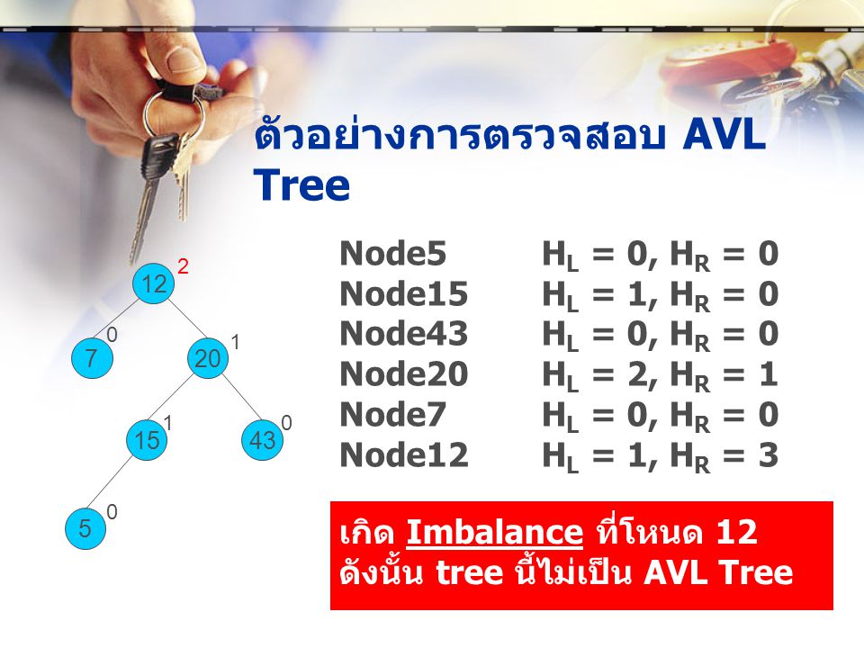 ตัวอย่างการตรวจสอบ AVL Tree