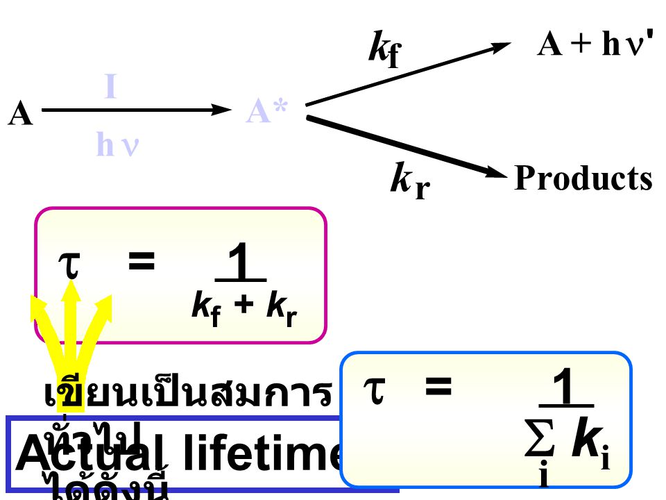 t = 1 t = 1 S ki Actual lifetimes k k เขียนเป็นสมการทั่วไป ได้ดังนี้ i