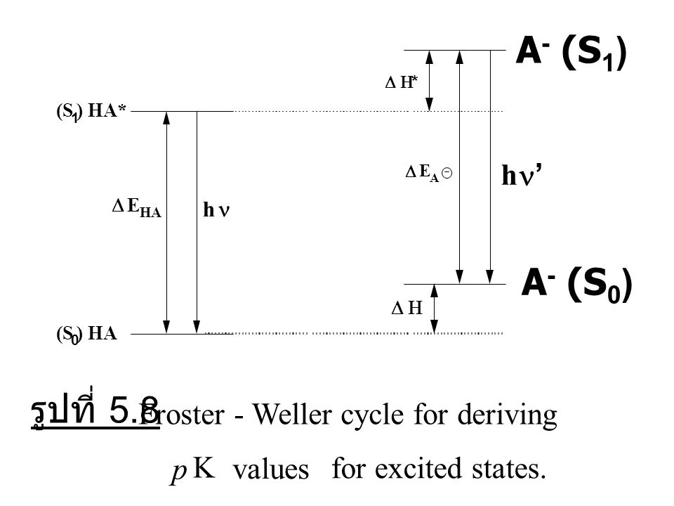 A- (S1) A- (S0) รูปที่ 5.8 Froster - Weller cycle for deriving p K