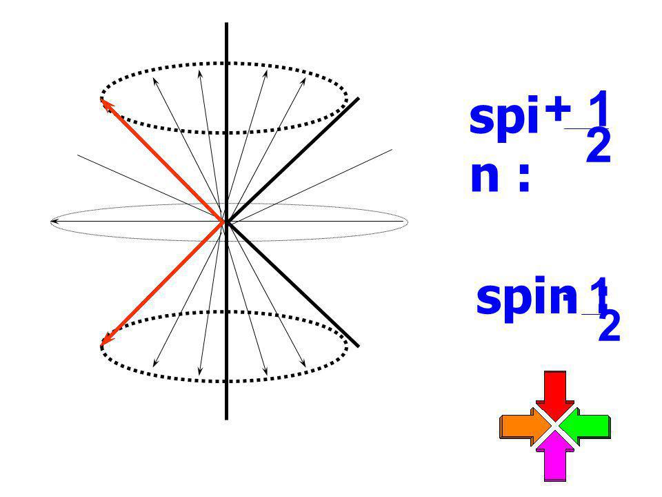 + 1 2 spin : spin :