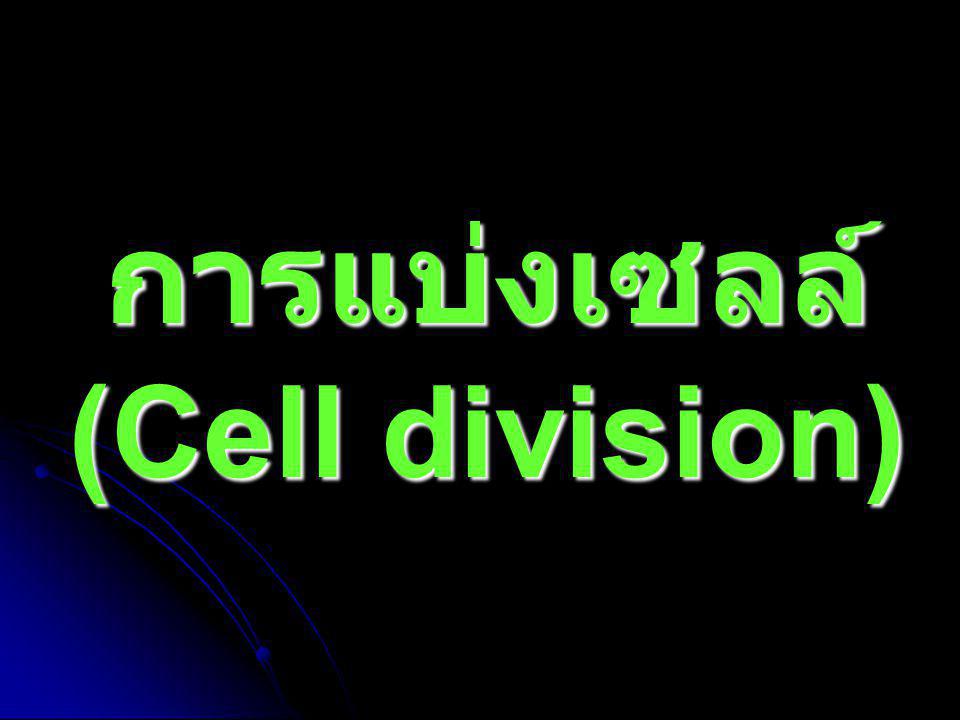การแบ่งเซลล์ (Cell division)