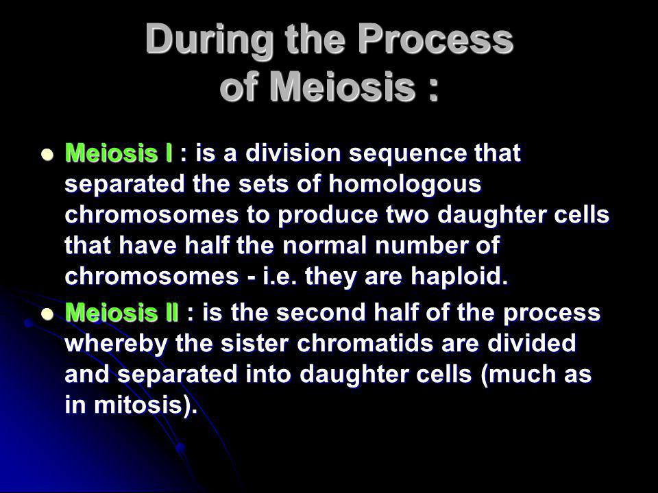 During the Process of Meiosis :