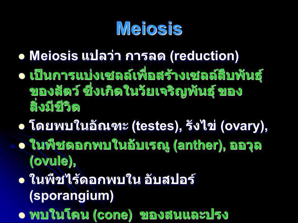 Meiosis Meiosis แปลว่า การลด (reduction)