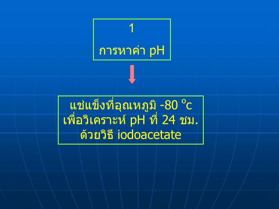 1 การหาค่า pH แช่แข็งที่อุณหภูมิ -80 oc เพื่อวิเคราะห์ pH ที่ 24 ชม. ด้วยวิธี iodoacetate
