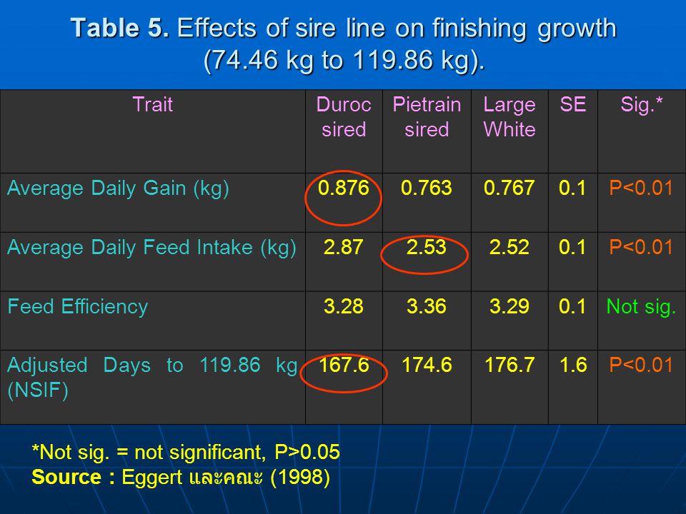 Table 5. Effects of sire line on finishing growth ( kg to 119