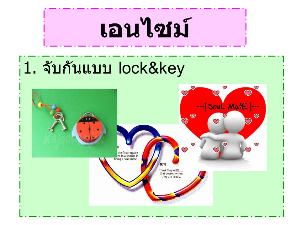 เอนไซม์ 1. จับกันแบบ lock&key