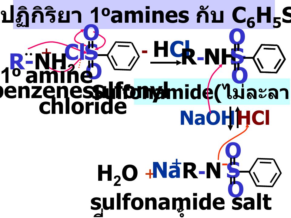 กลไกปฏิกิริยา 1oamines กับ C6H5SO2Cl Sulfonamide(ไม่ละลายน้ำ)