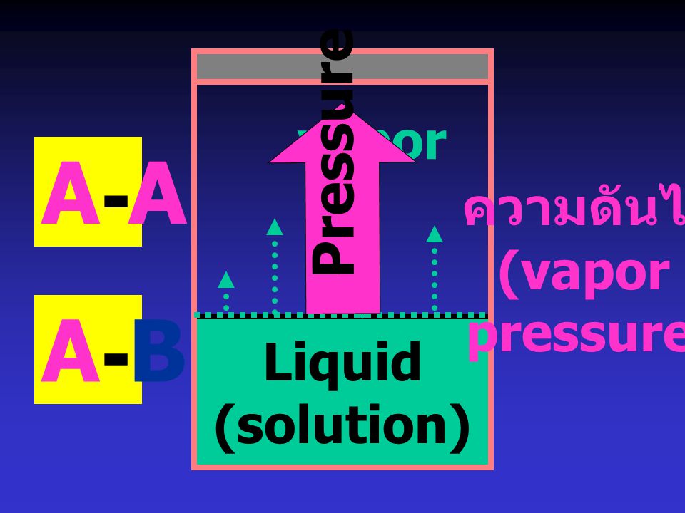 Liquid (solution) vapor Pressure A-A ความดันไอ (vapor pressure) A-B