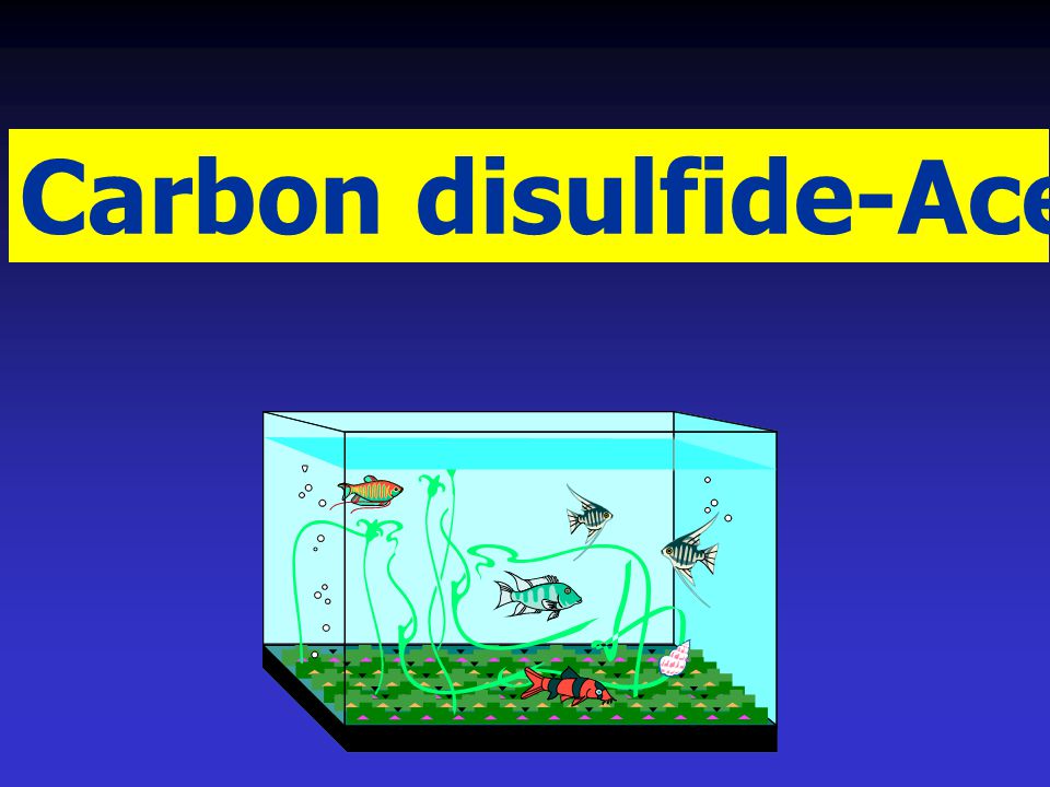Carbon disulfide-Acetone System: