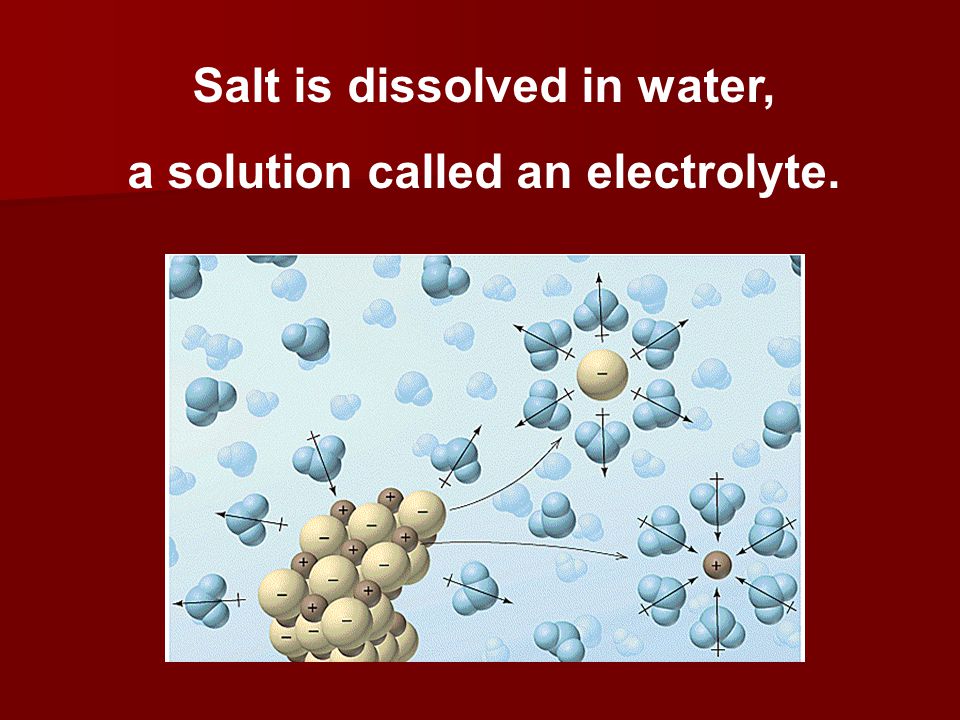 Salt is dissolved in water, a solution called an electrolyte.