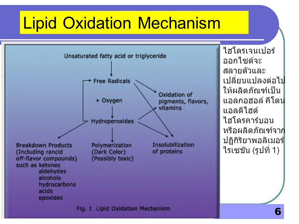 Lipid Oxidation Mechanism