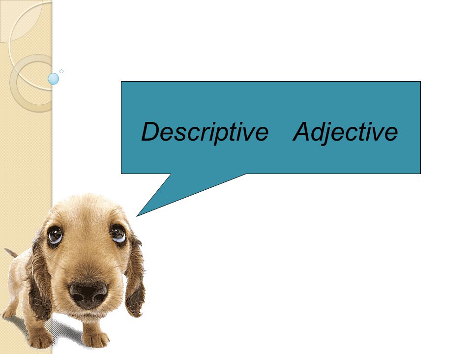 Descriptive Adjective