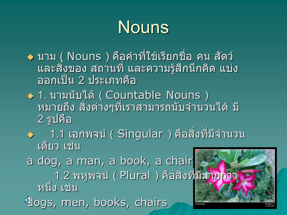 Nouns นาม ( Nouns ) คือคำที่ใช้เรียกชื่อ คน สัตว์ และสิ่งของ สถานที่ และความรู้สึกนึกคิด แบ่งออกเป็น 2 ประเภทคือ.