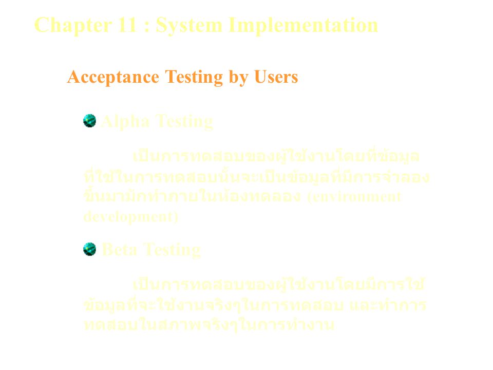Chapter 11 : System Implementation