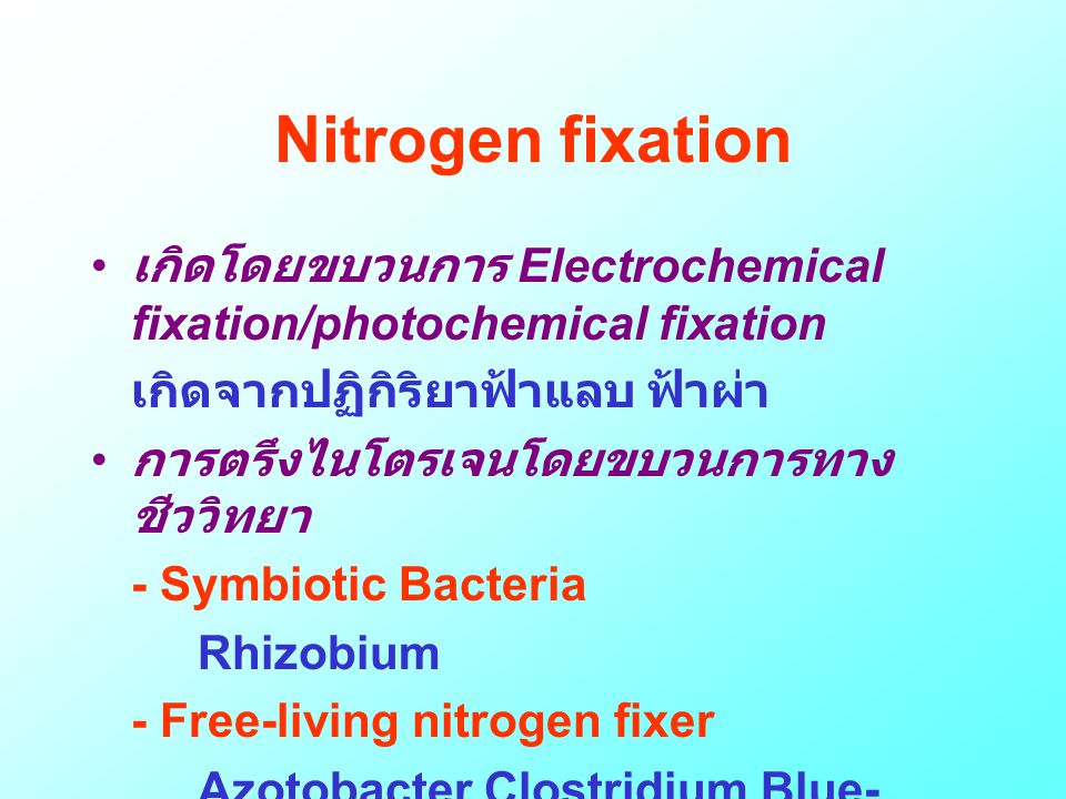 Nitrogen fixation เกิดโดยขบวนการ Electrochemical fixation/photochemical fixation. เกิดจากปฏิกิริยาฟ้าแลบ ฟ้าผ่า.
