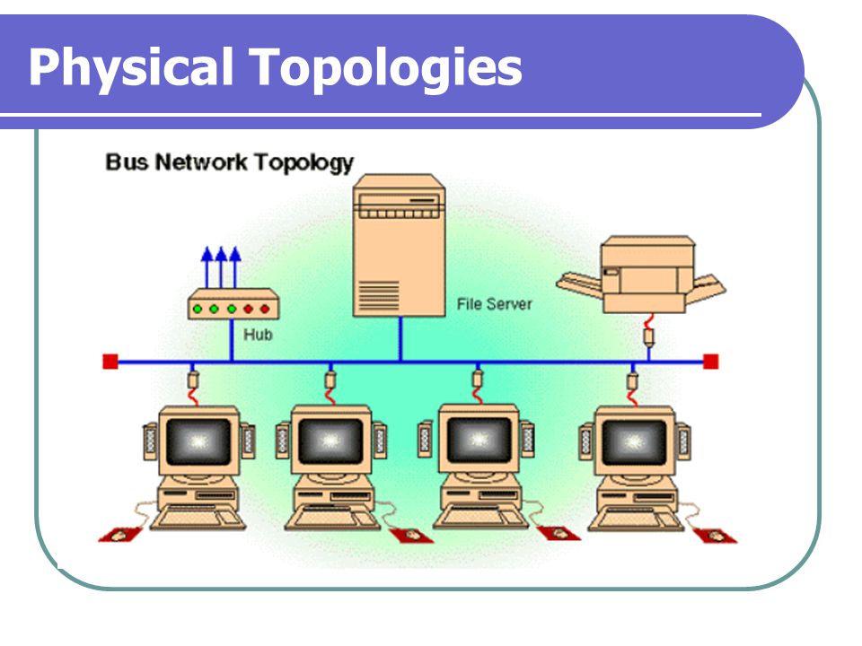 Physical Topologies Bus Network Topologies