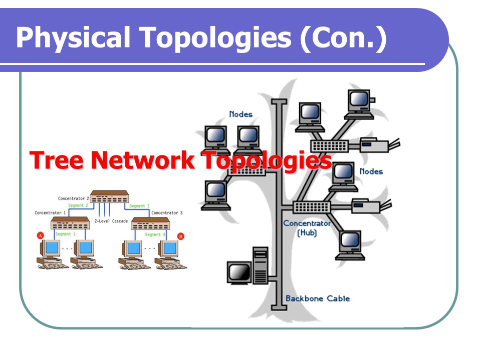 Physical Topologies (Con.)