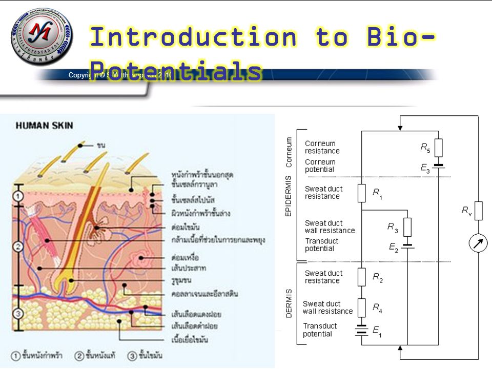 Introduction to Bio-Potentials