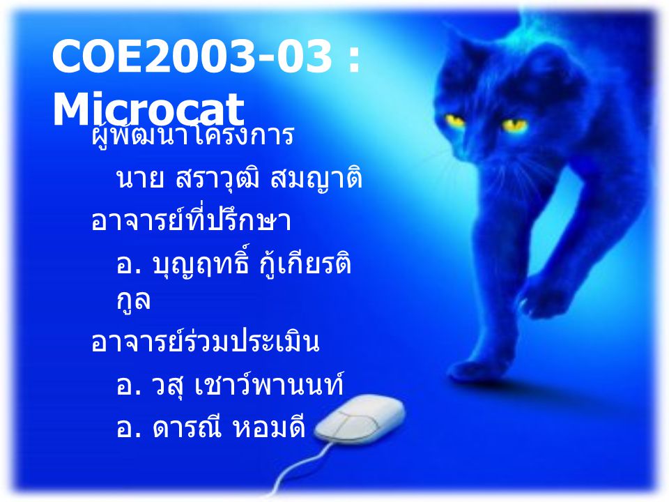 COE : Microcat ผู้พัฒนาโครงการ นาย สราวุฒิ สมญาติ