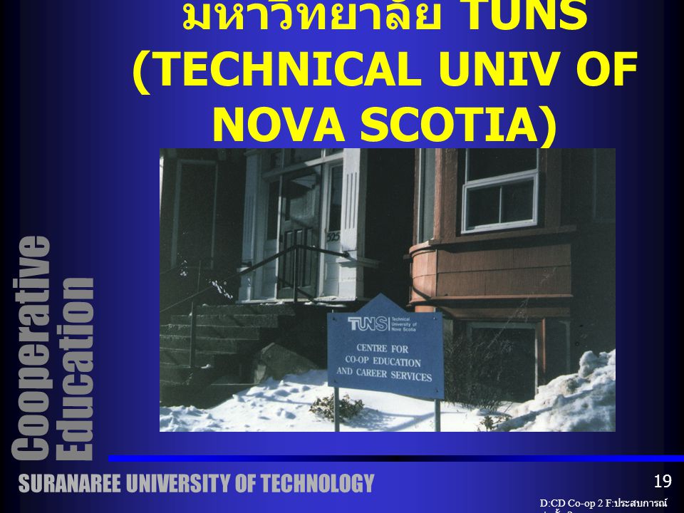 CO-OP OFFICE มหาวิทยาลัย TUNS (TECHNICAL UNIV OF NOVA SCOTIA)