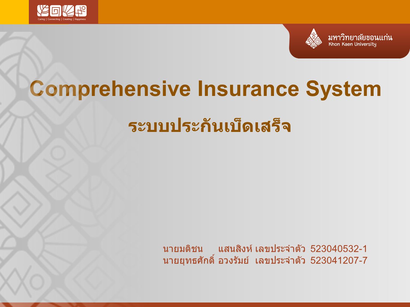 Comprehensive Insurance System ระบบประกันเบ็ดเสร็จ