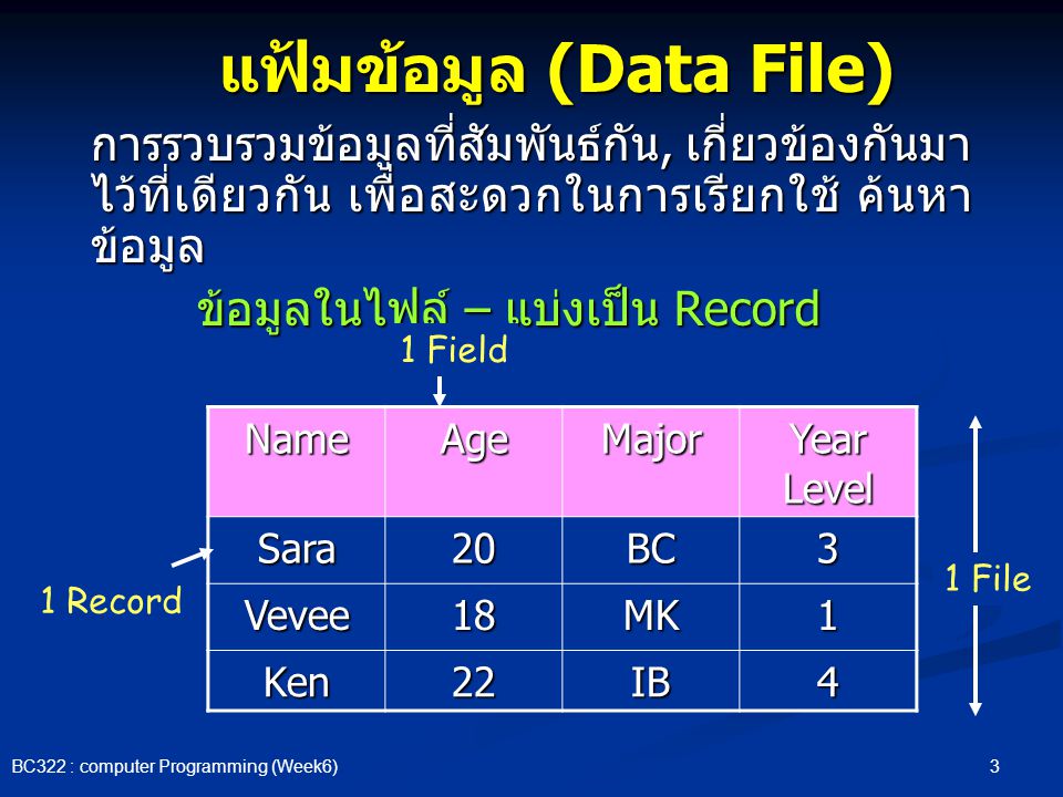 แฟ้มข้อมูล (Data File)